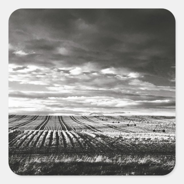 Sticker Carré champs agricoles (Devant)