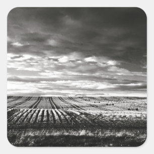 Sticker Carré champs agricoles