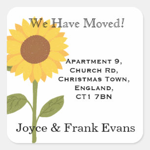 Sticker Carré changement de tournesol cartes d'autocollants d'ad