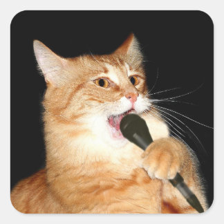 Sticker Carré Chant chat
