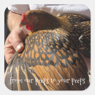 Sticker Carré Chariots à oeufs frais