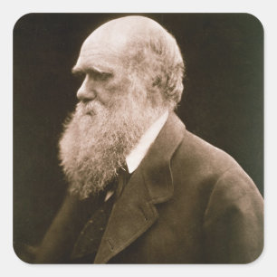 Sticker Carré Charles Darwin (1809-82) (photo)