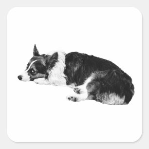 Sticker Carré Charme de Corgi en Basse Lumière