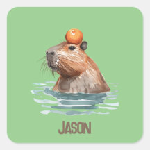 Charming mignonne Capybara avec Orange et nom des