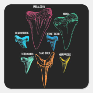 Sticker Carré Chasse aux dents de requin - Cadeaux de requins fo