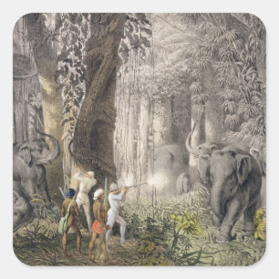 Sticker Carré Chasse aux éléphants dans la région de Logalla, à