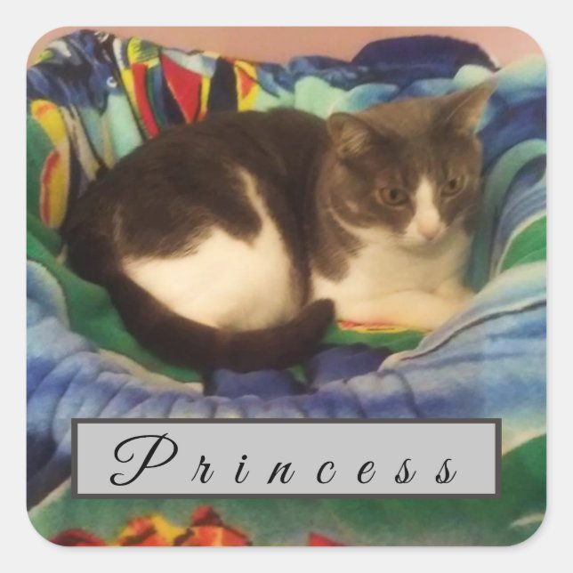 Sticker Carré Chat à cheveux courts, gris et blanc personnalisé (Devant)