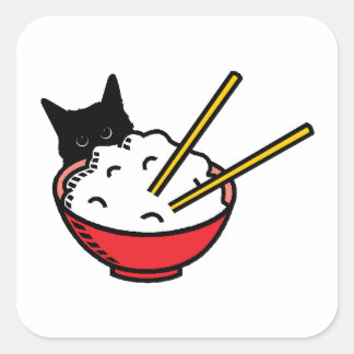 Sticker Carré Chat aime le riz