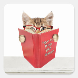 Sticker Carré Chat avec lunettes et livre rouge