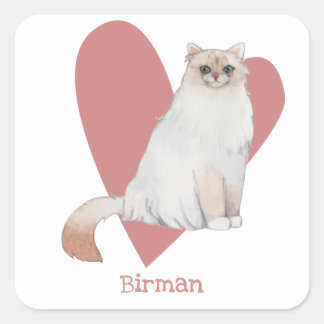 Sticker Carré Chat Birman Aquarelle Kitty Coeur rose