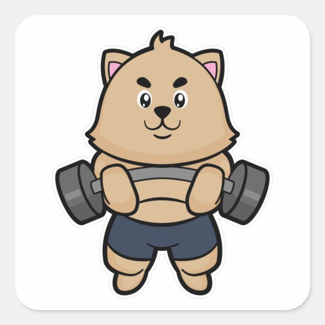 Sticker Carré Chat Bodybuilding avec Barbell (Devant)