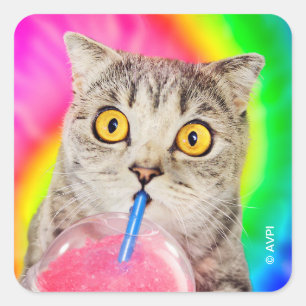 Sticker Carré Chat Boire Slushie