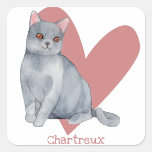 Sticker Carré Chat Chartreux Aquarelle Kitty Coeur rose
