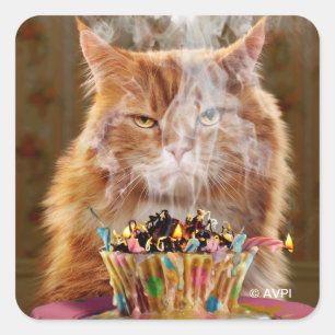 Sticker Carré Chat Cranky Drôle Avec Cupcake D'Anniversaire Fond