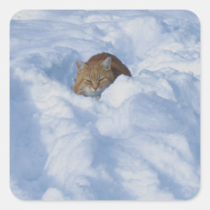 Sticker Carré Chat dans la neige