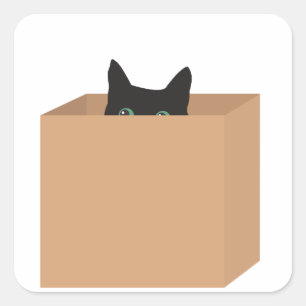 Sticker Carré Chat Dans Une Boîte