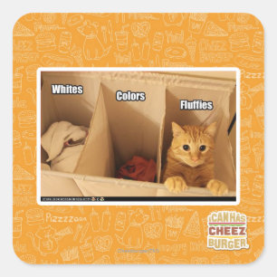 Sticker Carré Chat de blanchisserie
