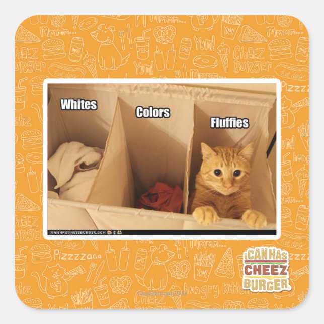 Sticker Carré Chat de blanchisserie (Devant)
