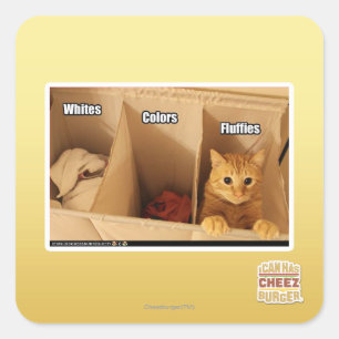 Sticker Carré Chat de blanchisserie