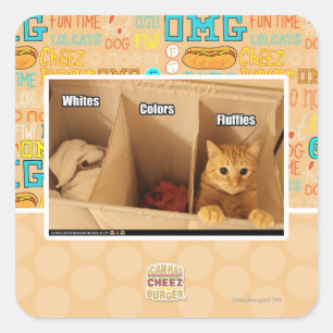 Sticker Carré Chat de blanchisserie