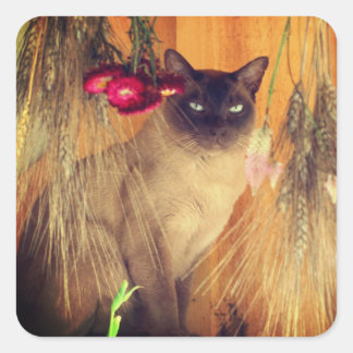 Sticker Carré Chat de Siamese Posant 3 Animal