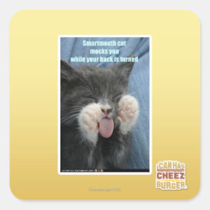 Sticker Carré Chat de Smartmouth