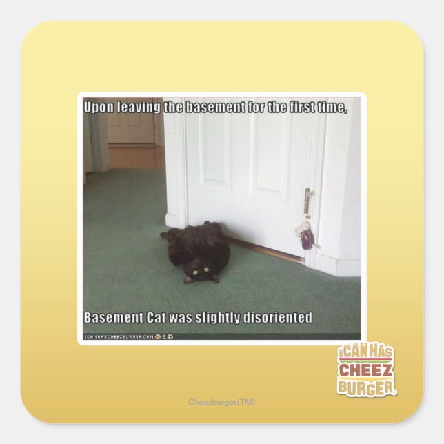 Sticker Carré Chat de sous-sol, légèrement désorienté (Devant)