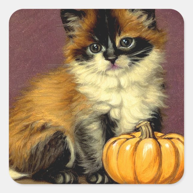 Sticker Carré Chat d'Halloween Ragdoll vintage (Devant)