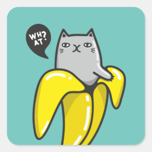 Sticker Carré Chat en banane