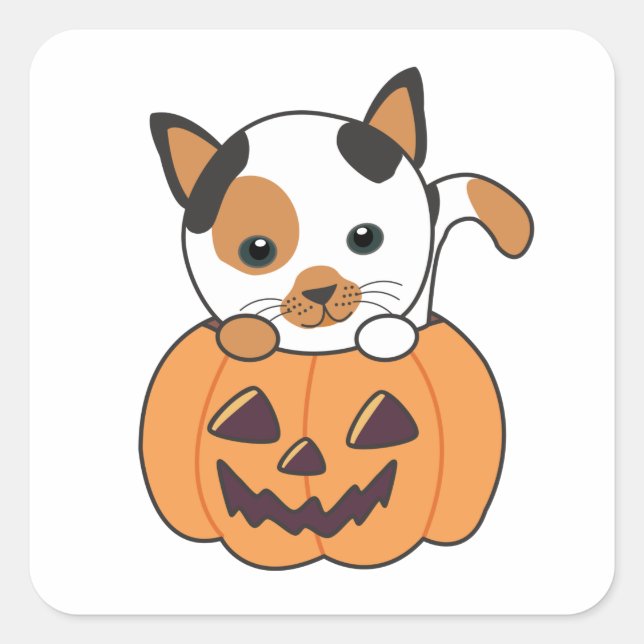 Sticker Carré Chat En Citrouille Chats Doux Joyeux Halloween (Devant)