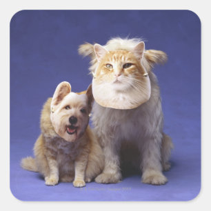 Sticker Carré Chat et chien avec masques