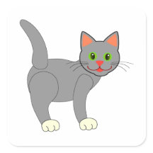 Chat Gris Souriant Avec Whiskers