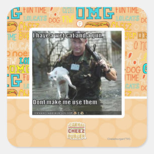 Sticker Carré Chat humide et pistolet