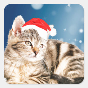 Sticker Carré Chat mignon portant chapeau de Noël rouge neige