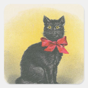 Sticker Carré Chat noir