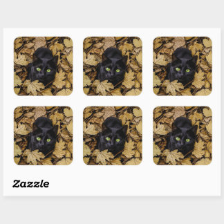 Sticker Carré Chat noir dans les feuilles d'automne