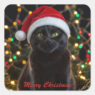 Sticker Carré Chat Noir de Noël - Chapeau de Père Noël Photo per