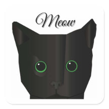 Chat Noir Miaou