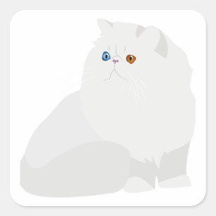 Sticker Carré chat perse blanc