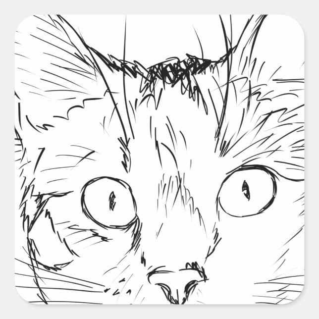 Sticker Carré Chat Puddy (Devant)