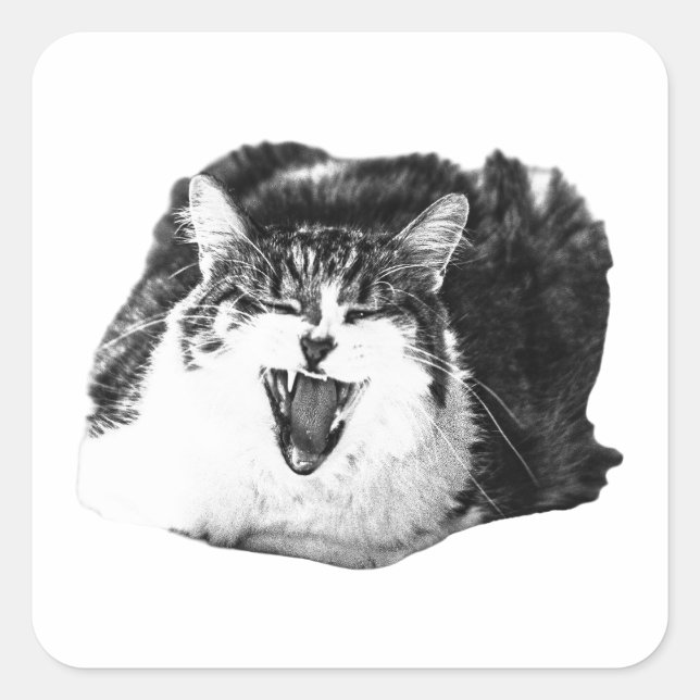 Sticker Carré Chat qui crie, art à décoller (Devant)