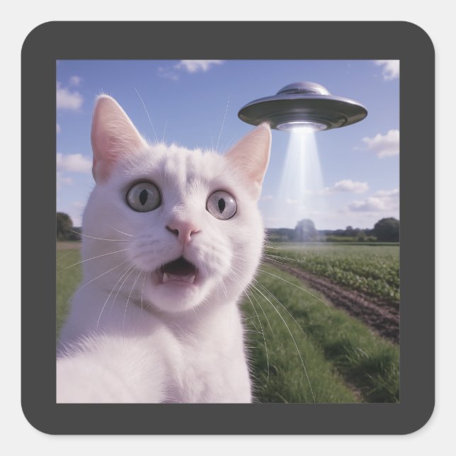 Sticker Carré Chat selfie avec un OVNI alien (Devant)