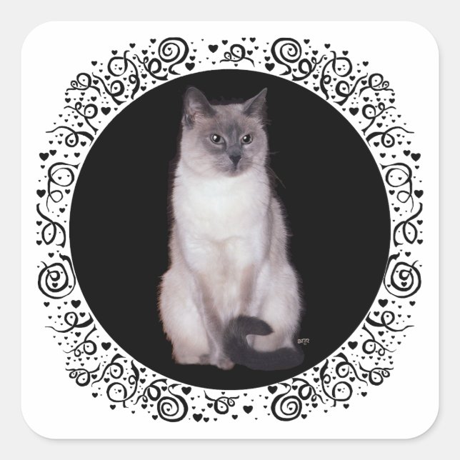 Sticker Carré Chat siamois (Devant)