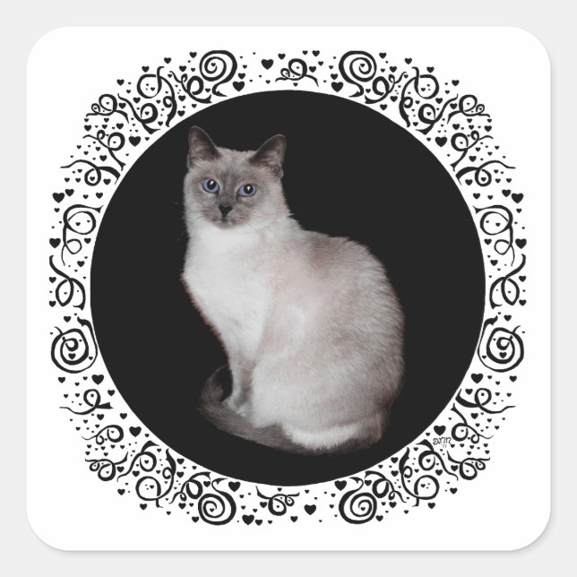 Sticker Carré Chat siamois aux yeux bleus (Devant)