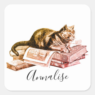 Sticker Carré Chat Sur Une Pile De Livres