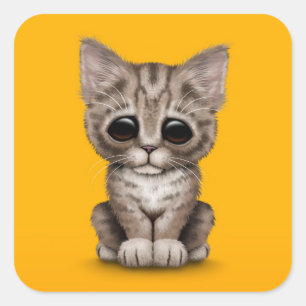 Sticker Carré Chat tigré Brown mignon triste de chaton sur le