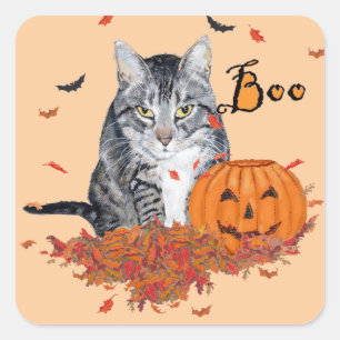 Sticker Carré Chat tigré Halloween
