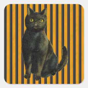 Sticker Carré Chat vintage de Halloween