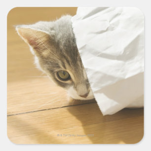 Sticker Carré Chaton caché dans un sac en papier