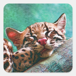 Sticker Carré Chaton mignon d'Ocelot de bébé de sommeil